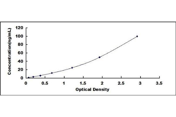 C5A ELISA Kit