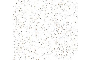 Immunocytochemistry (ICC) image for anti-Serum Response Factor (SRF) (AA 25-75) antibody (ABIN7795720)