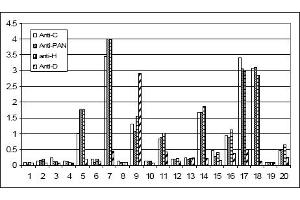 Image no. 1 for anti-Growth Differentiation Factor 15 (GDF15) (N-Term), (Variant H) antibody (ABIN453963) (GDF15 Antikörper  (N-Term, Variant H))