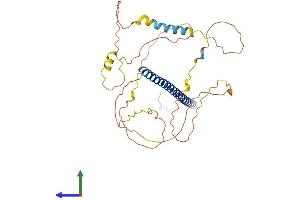 Protein Structure (PS) image for Jun B Proto-Oncogene (JUNB) (AA 1-347) protein (His tag) (ABIN7548610)