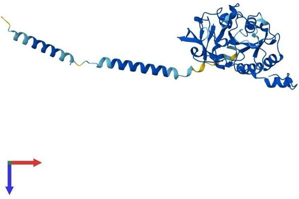B3GAT3 Protein (AA 1-335) (His tag)