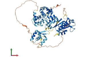 Protein Structure (PS) image for MUS81 Endonuclease Homolog (MUS81) (AA 1-551) protein (His tag) (ABIN7554644)
