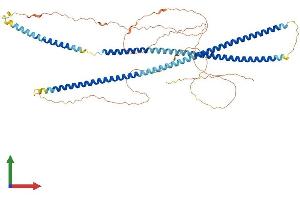 AlphaFold protein structure predicition of Human Recombinant KRT84 Protein, UniprotID Q9NSB2