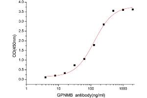 Activity Assay (AcA) image for Neuromedin B (AA 23-486) (Active) protein (His tag) (ABIN7607565)