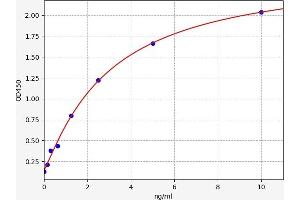 Typical standard curve (KIFC1 ELISA Kit)