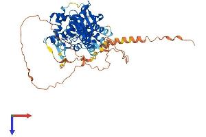 AMZ1 Protein (AA 1-498) (His tag)