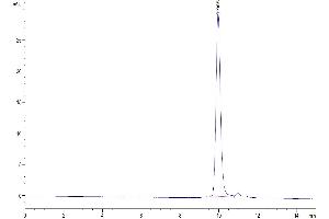 Size-exclusion chromatography-High Pressure Liquid Chromatography (SEC-HPLC) image for Interleukin 1, beta (IL1B) (AA 117-269) protein (His-Avi Tag,Biotin) (ABIN7274883)