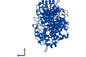 Protein Structure (PS) image for Phosphoglucomutase 1 (PGM1) (AA 1-562) protein (His tag) (ABIN7550769)