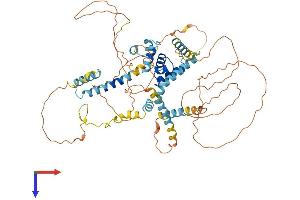 LCORL Protein (AA 1-602) (His tag)