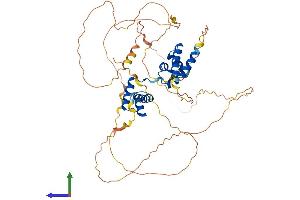 Protein Structure (PS) image for POU domain, class 2, transcription factor 2 (POU2F2) (AA 1-479) protein (His tag) (ABIN7550902)