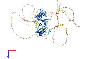 SHC1 Protein (AA 1-579) (His tag)
