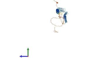 Protein Structure (PS) image for Rab Interacting Lysosomal Protein (RILP) (AA 1-401) protein (His tag) (ABIN7551356)