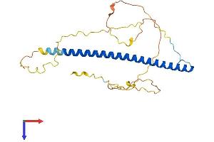 TFPT Protein (AA 1-253) (His tag)