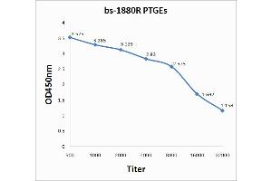 ELISA image for anti-Prostaglandin E Synthase (PTGES) (AA 85-152) antibody (ABIN735788)
