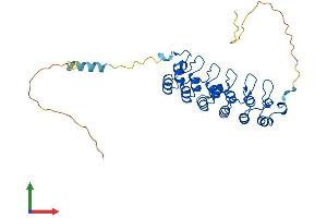 Protein Structure (PS) image for Nuclear Factor of kappa Light Polypeptide Gene Enhancer in B-Cells Inhibitor, alpha (NFKBIA) (AA 1-317) protein (His tag) (ABIN7548496)