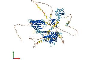 AlphaFold protein structure predicition of Human Recombinant EPS8 Protein, UniprotID Q12929