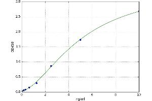 A typical standard curve