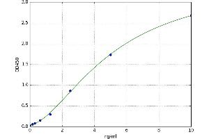 A typical standard curve (IMPDH2 ELISA Kit)