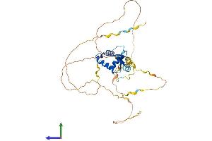 Protein Structure (PS) image for Forkhead Box E1 (Thyroid Transcription Factor 2) (FOXE1) (AA 1-371) protein (His tag) (ABIN7559692)