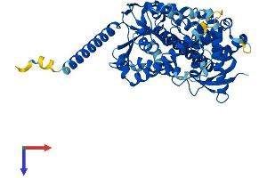 CYP4Z1 Protein (AA 1-505) (His tag)