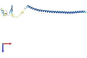 Stathmin 3 Protein (STMN3) (AA 1-180) (His tag)