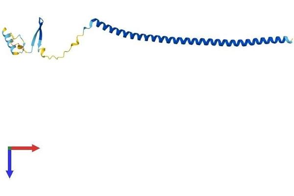 Stathmin 3 Protein (STMN3) (AA 1-180) (His tag)