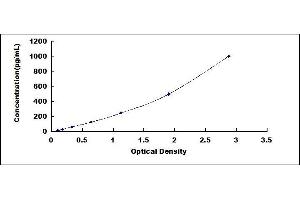 Typical standard curve (GDF5 ELISA Kit)