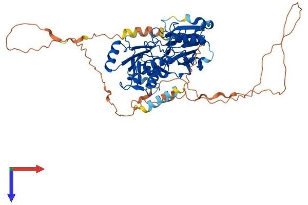 DCLRE1B Protein (AA 1-541) (His tag)