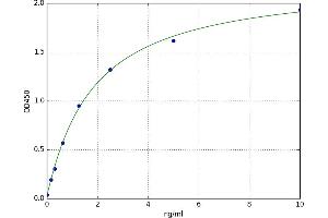 Matrix Metallopeptidase 28 (MMP28) ELISA Kit