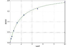 A typical standard curve (MMP28 ELISA Kit)