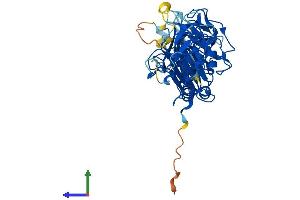 Protein Structure (PS) image for Pellino E3 Ubiquitin Protein Ligase 1 (PELI1) (AA 1-418) protein (His tag) (ABIN7550725)