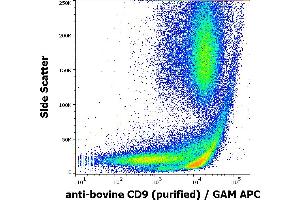 Flow cytometry surface staining pattern of bovine peripheral whole blood stained using anti-bovine CD9 (IVA50) purified antibody (concentration in sample 10 μg/mL) GAM APC.