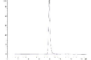 Size-exclusion chromatography-High Pressure Liquid Chromatography (SEC-HPLC) image for CD5 (CD5) (AA 25-371) protein (His tag) (ABIN7274203)