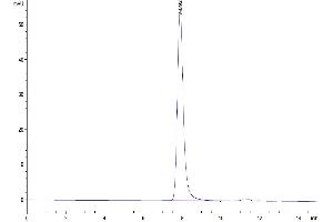 The purity of Mouse CD5 is greater than 95 % as determined by SEC-HPLC. (CD5 Protein (CD5) (AA 25-371) (His tag))
