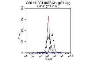 HUVEC cells were incubated with 2μg/ml HM2034 for 1h at 4°C (CD51/CD61 Antikörper)