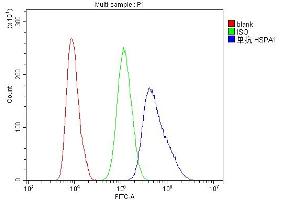 Flow Cytometry analysis of U20S cells using anti-Hsp70 antibody (ABIN5693238).