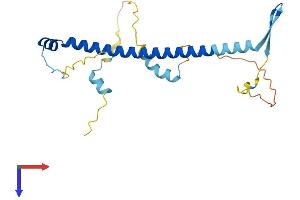 NOL12 Protein (AA 1-213) (His tag)