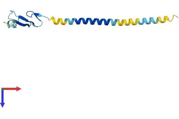 Neuregulin 4 Protein (NRG4) (AA 1-115) (His tag)