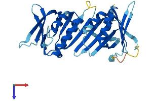HUS1 Protein (AA 1-280) (His tag)