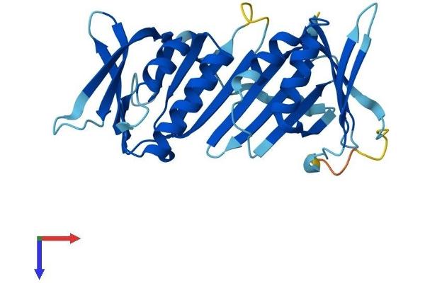HUS1 Protein (AA 1-280) (His tag)