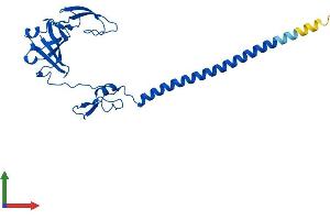 Protein Structure (PS) image for Ribosomal Protein S6 (RPS6) (AA 1-249) protein (His tag) (ABIN7556615)
