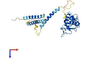 MED27 Protein (AA 1-311) (His tag)