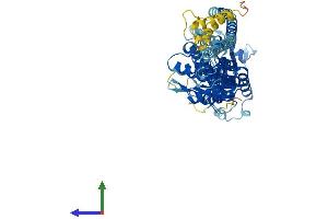 AlphaFold protein structure predicition of Human Recombinant GBP7 Protein, UniprotID Q8N8V2