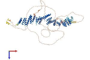 AlphaFold protein structure predicition of Human Recombinant TTC16 Protein, UniprotID Q8NEE8 (TTC16 Protein (AA 1-873) (His tag))