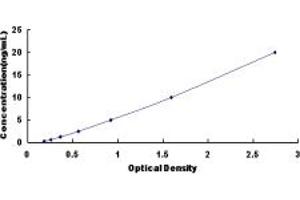 UROD ELISA Kit