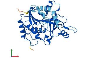 Protein Structure (PS) image for Purine Nucleoside Phosphorylase (PNP) (AA 1-289) protein (His tag) (ABIN7562979)