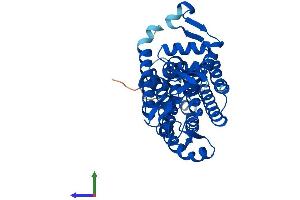 Protein Structure (PS) image for Dolichyl-Phosphate (UDP-N-Acetylglucosamine) N-acetylglucosaminephosphotransferase 1 (GlcNAc-1-P Transferase) (DPAGT1) (AA 1-408) protein (His tag) (ABIN7548182)
