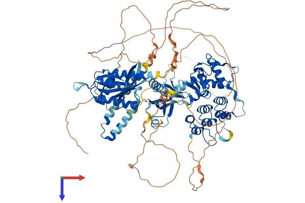 AGAP3 Protein (AA 1-910) (His tag)