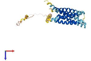 TMEM163 Protein (AA 1-288) (His tag)