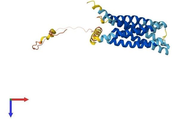 TMEM163 Protein (AA 1-288) (His tag)